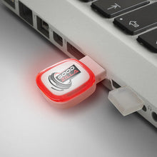 Load image into Gallery viewer, Zodiac 4GB Flash Drive
