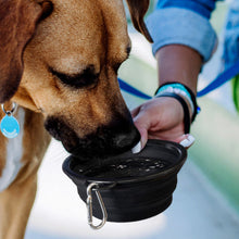 Load image into Gallery viewer, Silicone Collapsible Pet Bowl
